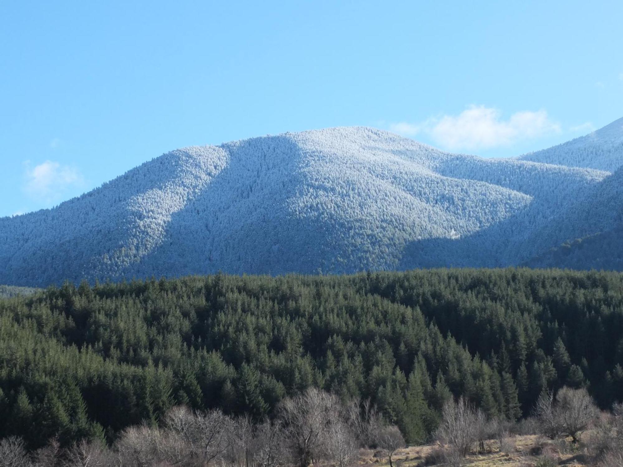 Pirin Heights A-21 Близо До Ски Пистата Банско Екстериор снимка